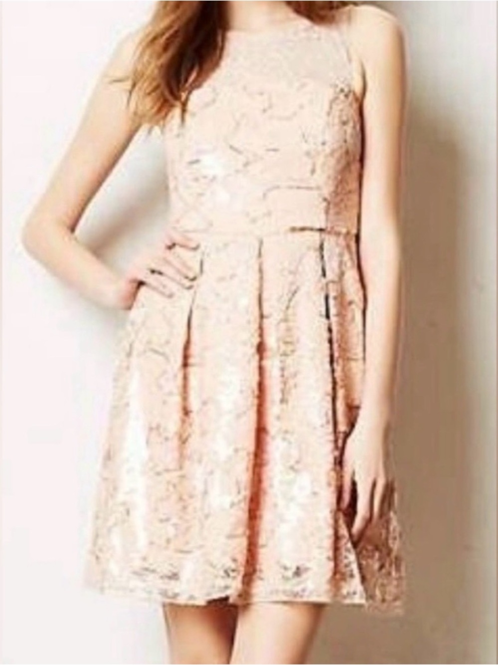 Anthropologie Blush Floral Lace High-Neck Fit-and-Flare Mini Dress